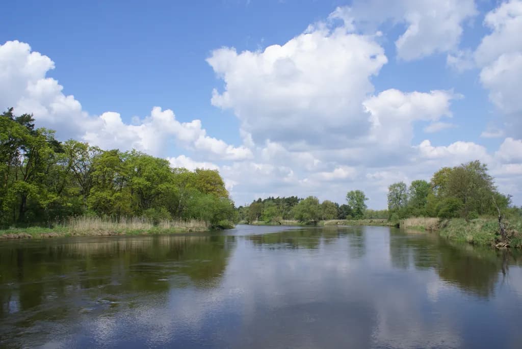 Tranquil Riverbend
