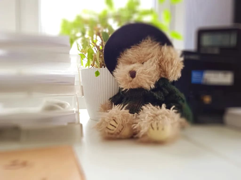 Cozy Desk Bear