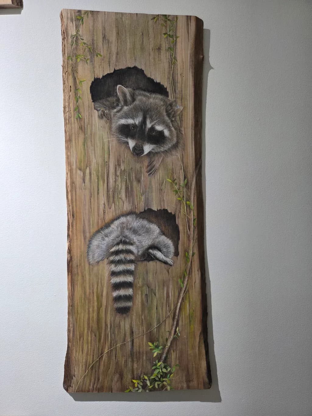 Peekaboo Raccoons