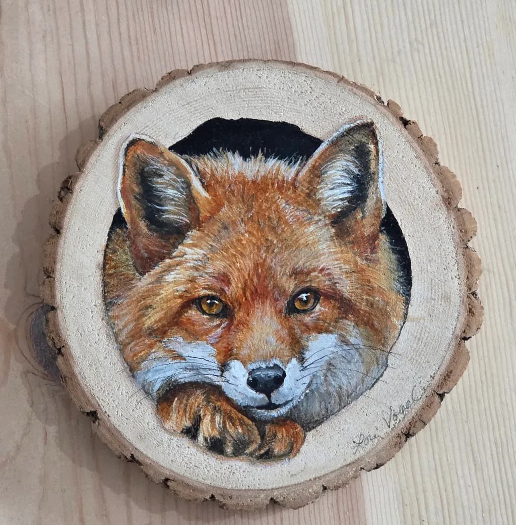 Curious Fox