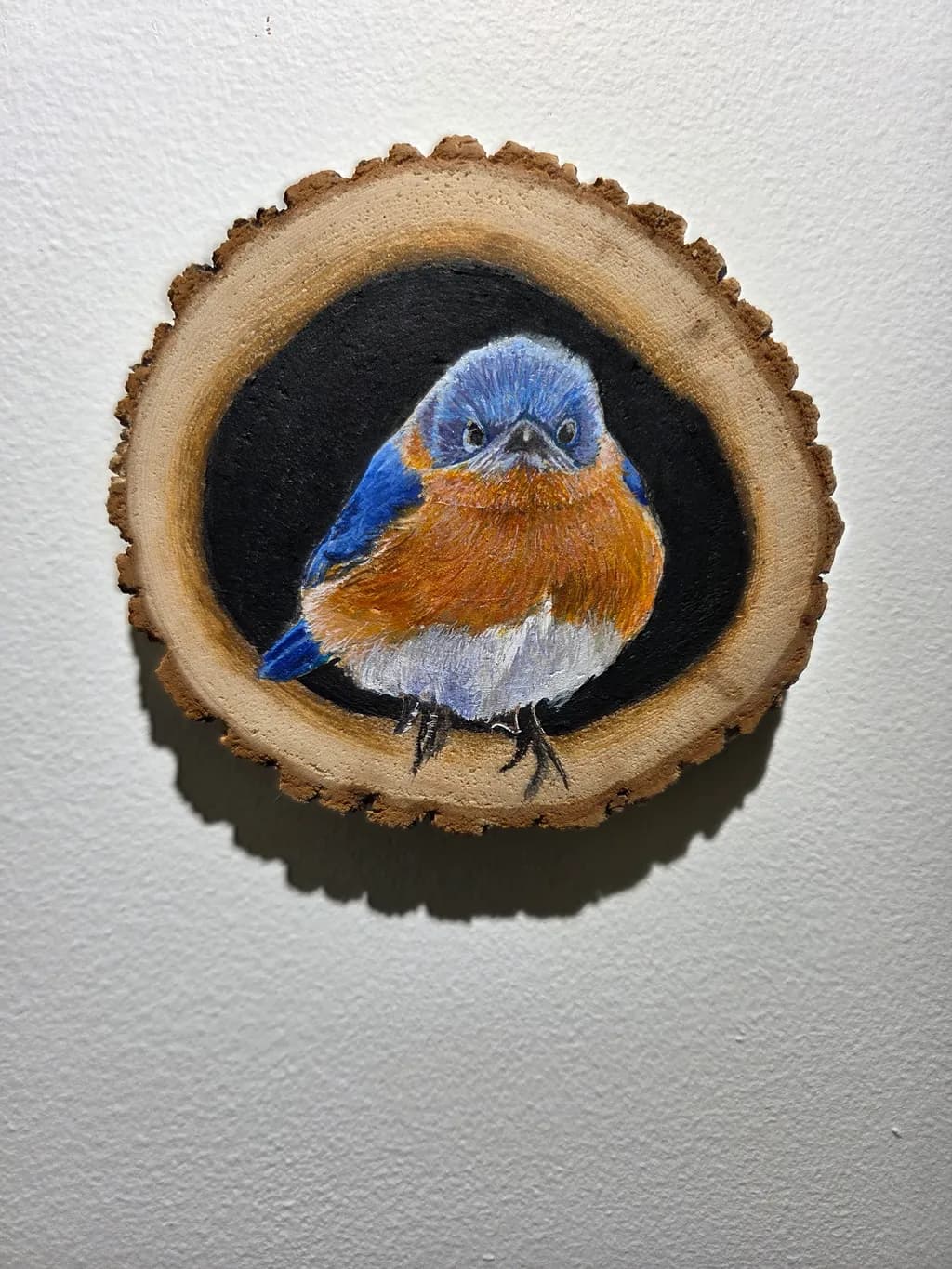 Bluebird on Wood Slice