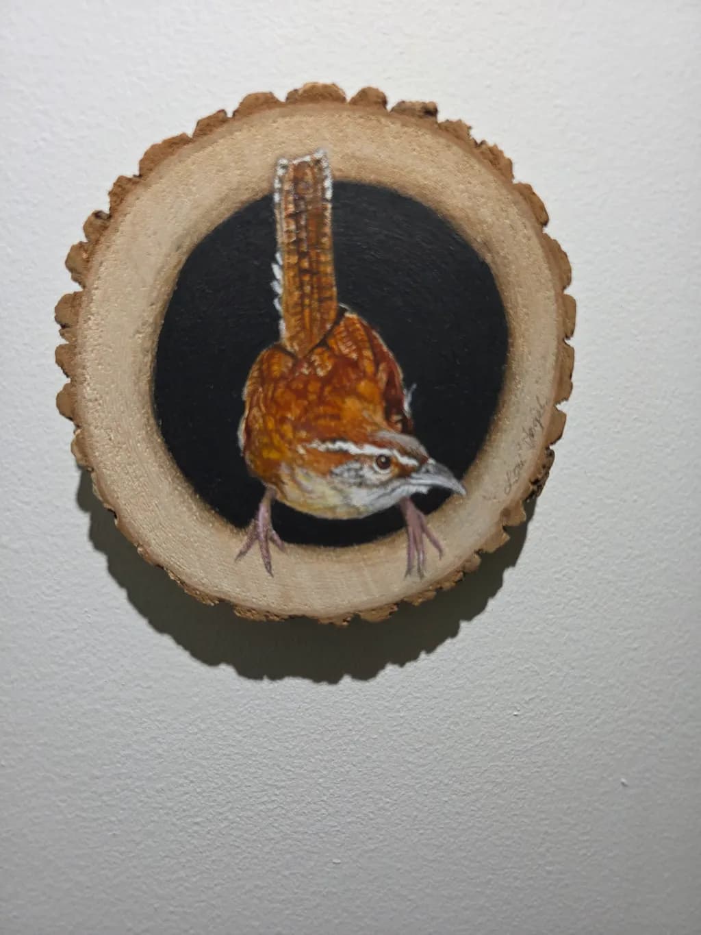 Wren Perch