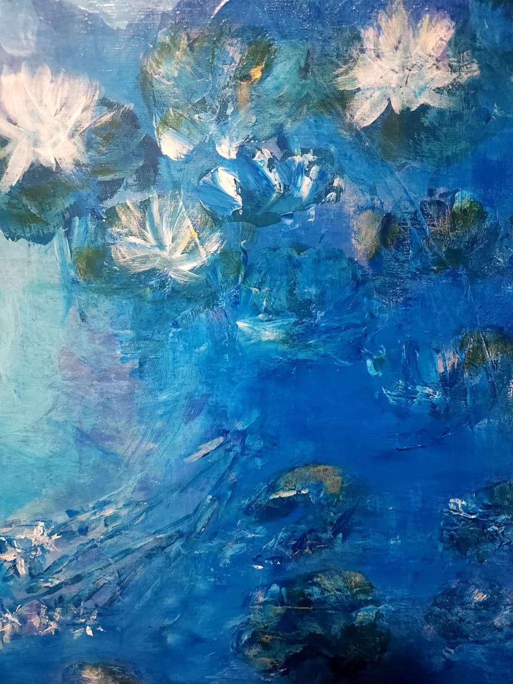Lily's Pond