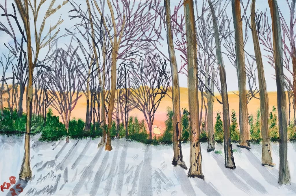 Woodland Sunrise