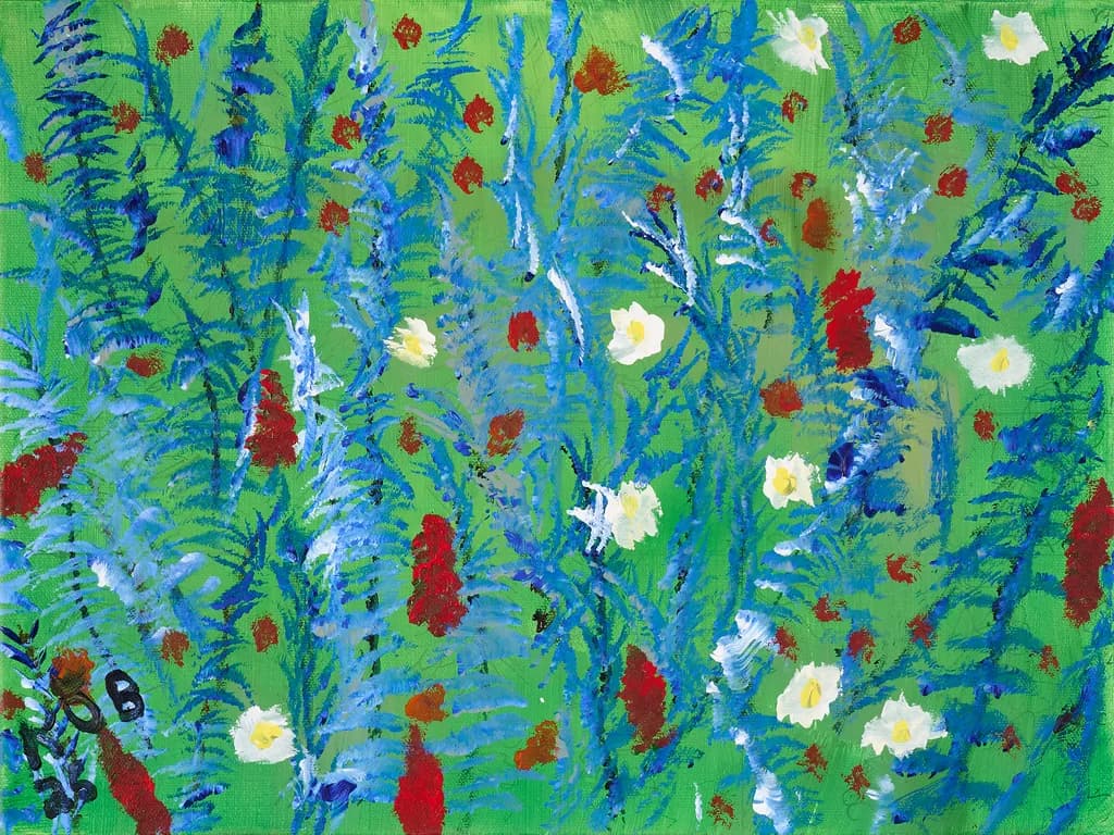 Spring Field