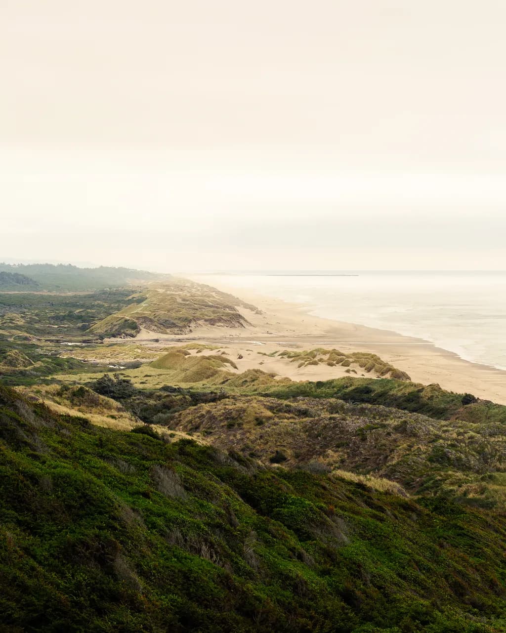 Coastal Dunes