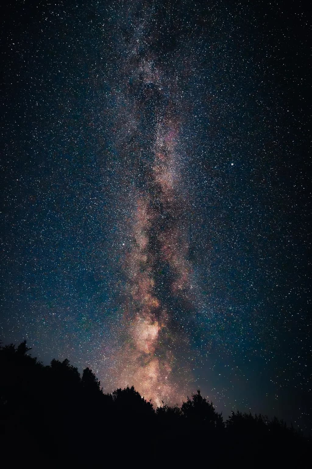 Milky Way over the tree line