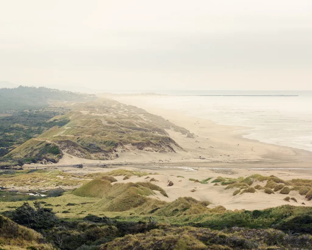 Coastal Dunes