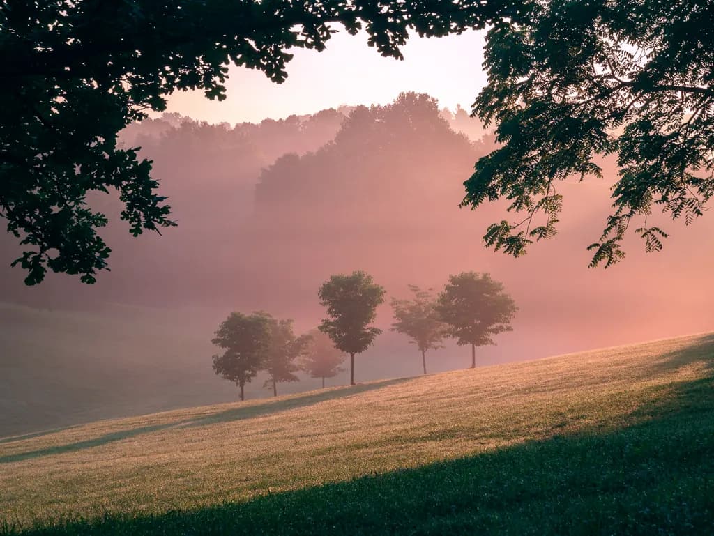 Misty morning at Barringer Hill