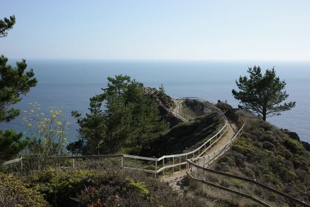 John Muir bridge