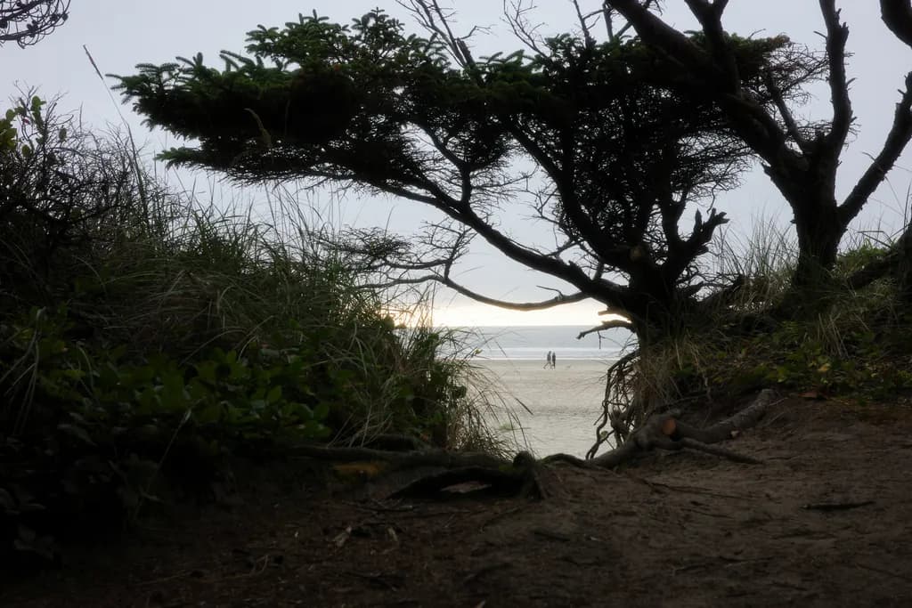 Portal to the beach