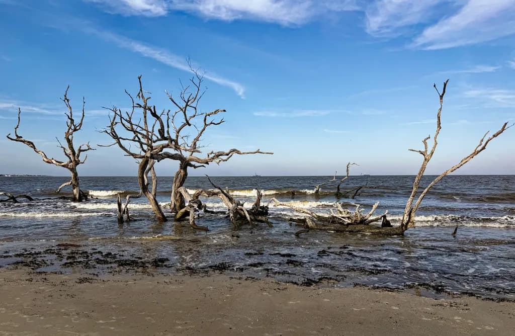 Ghosts of the Tide
