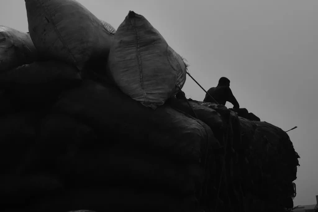 Sitting on Sacks on Truck