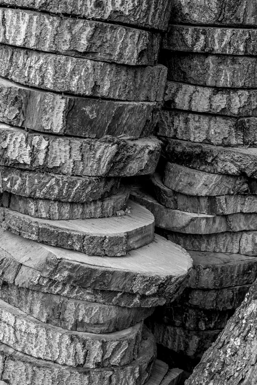 Firewood Slices