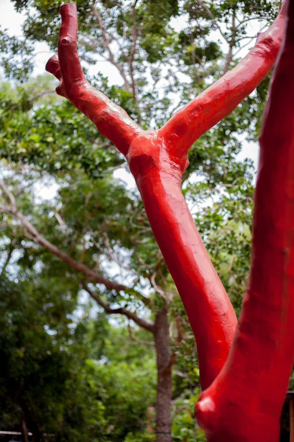 Strange Tree