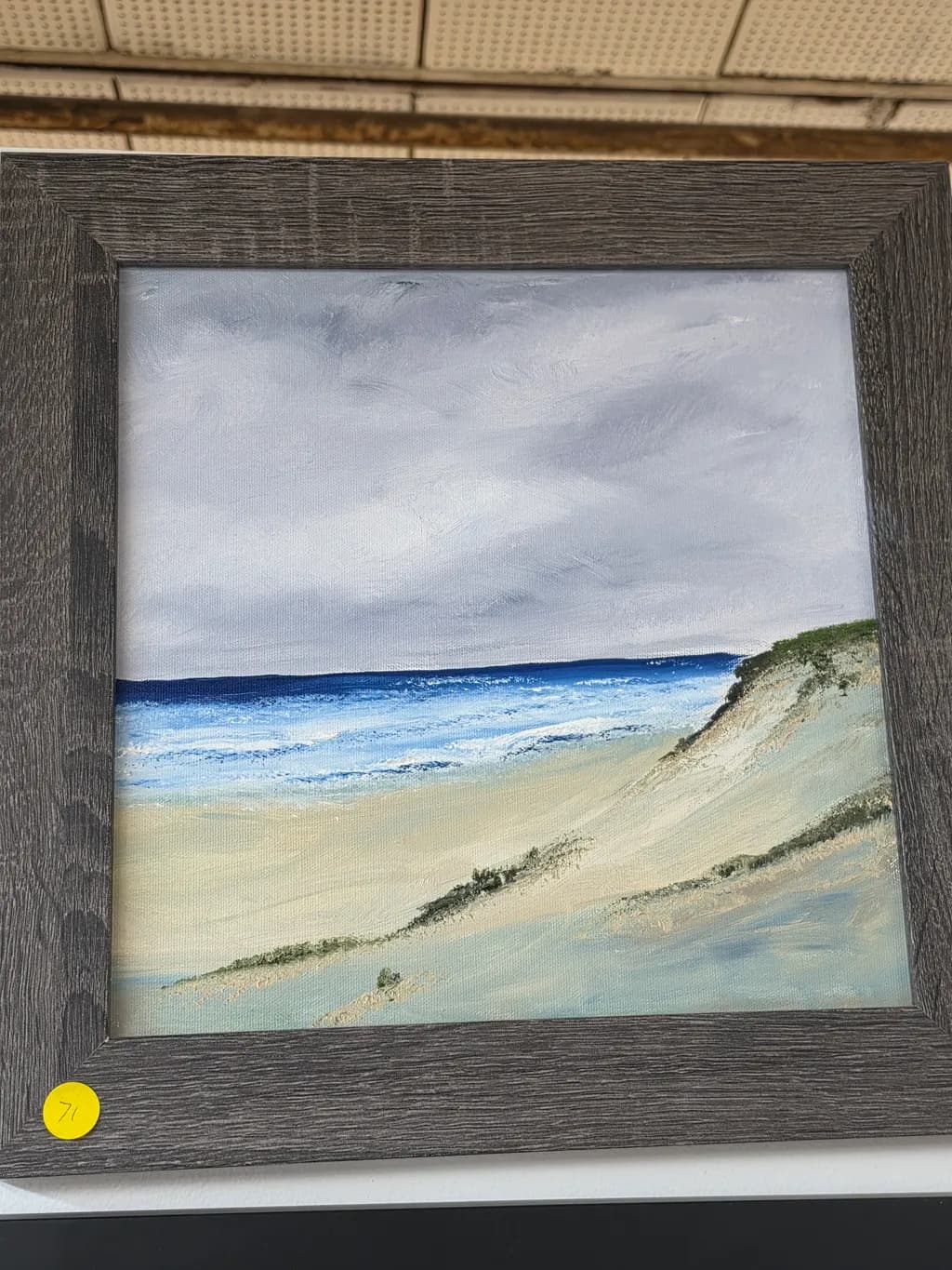 Coastal Dunes