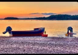 Golden Tide Boat