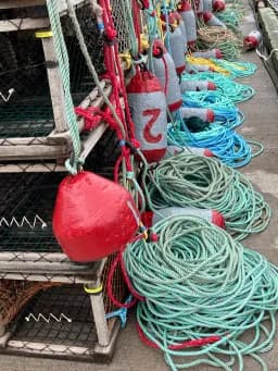Harbor Buoys and Rope