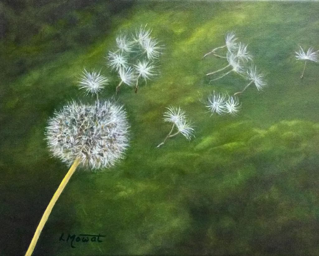 Dandelion Drift