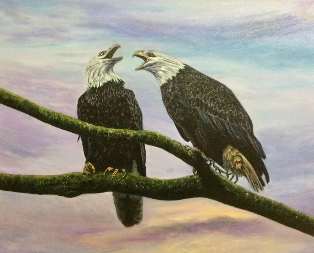 Eagle Dialogue