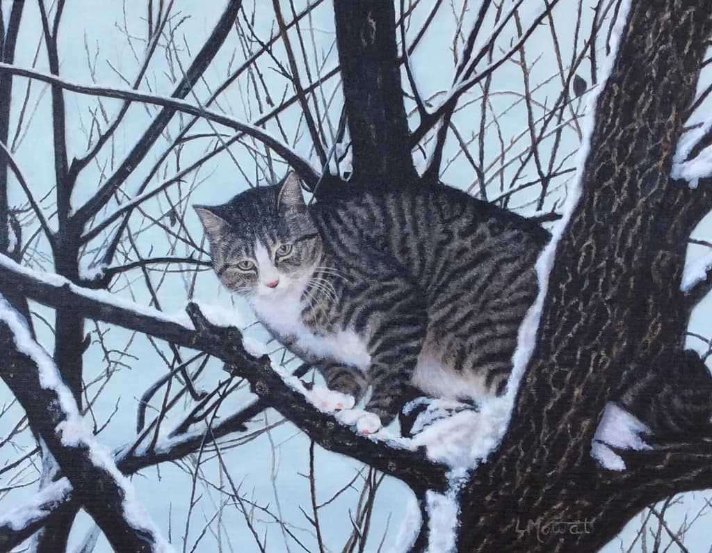 Winter Perch