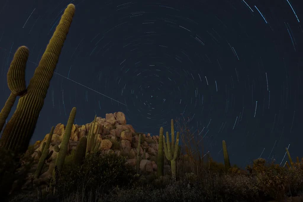 Desert Rotation