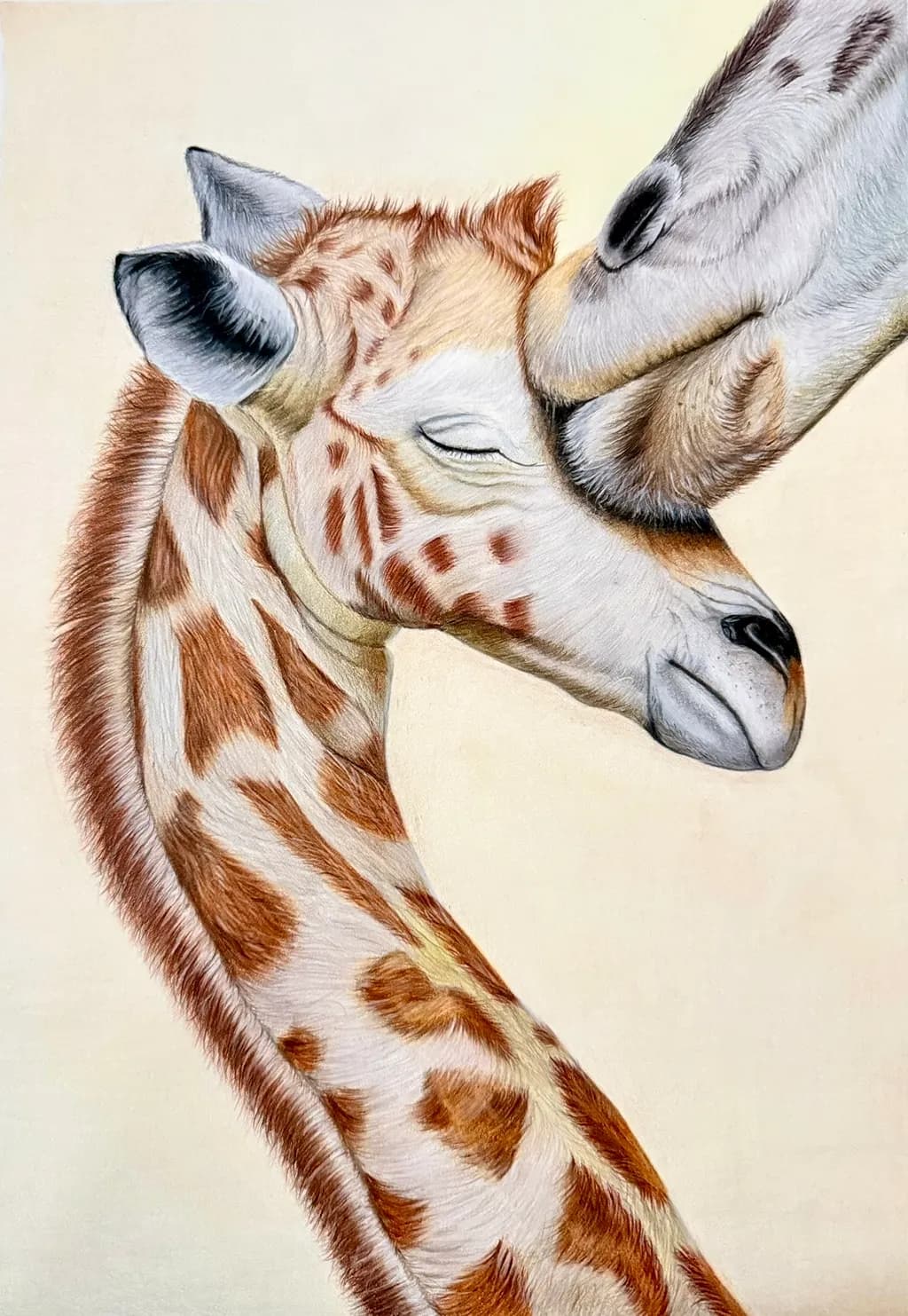 A Mother’s Gentle Nuzzle