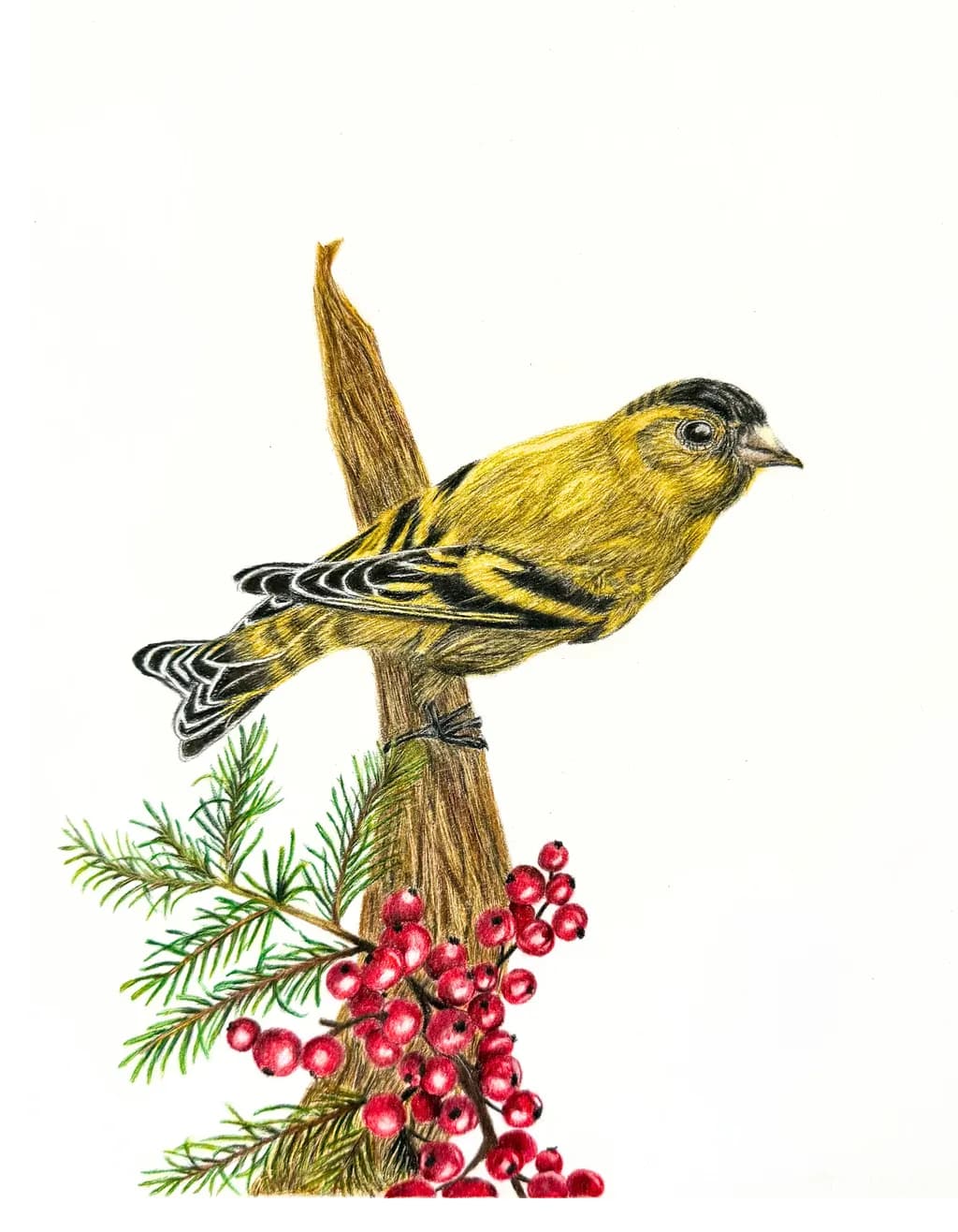Golden Finch Perch