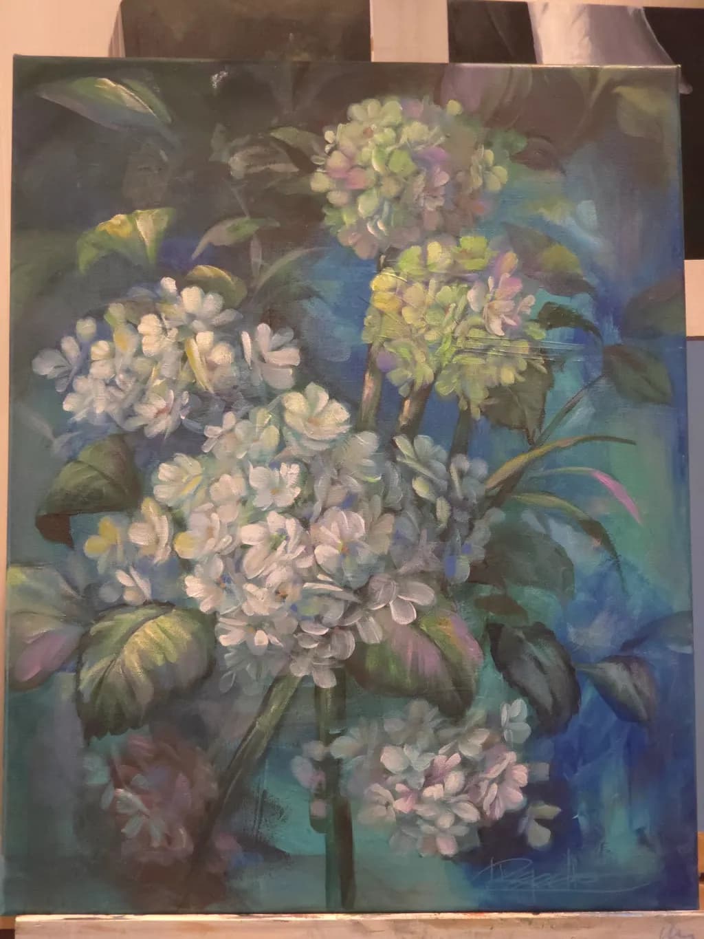 Dram Hydrangeas