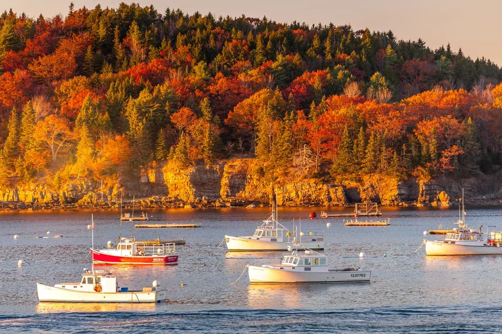 Autumn Harbor Calm