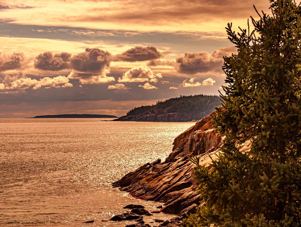 Golden Coastline Reflection