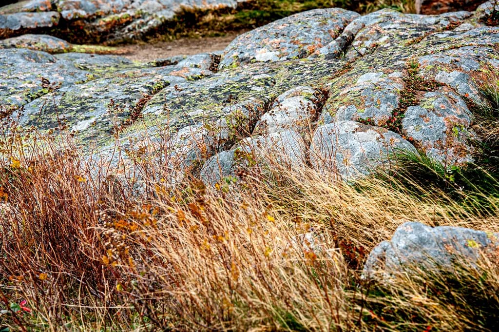 Weathered Terrain