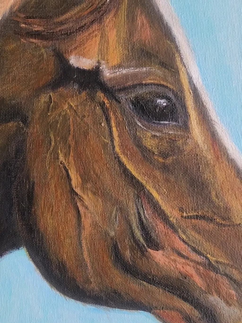 Horse Portrait Close-Up