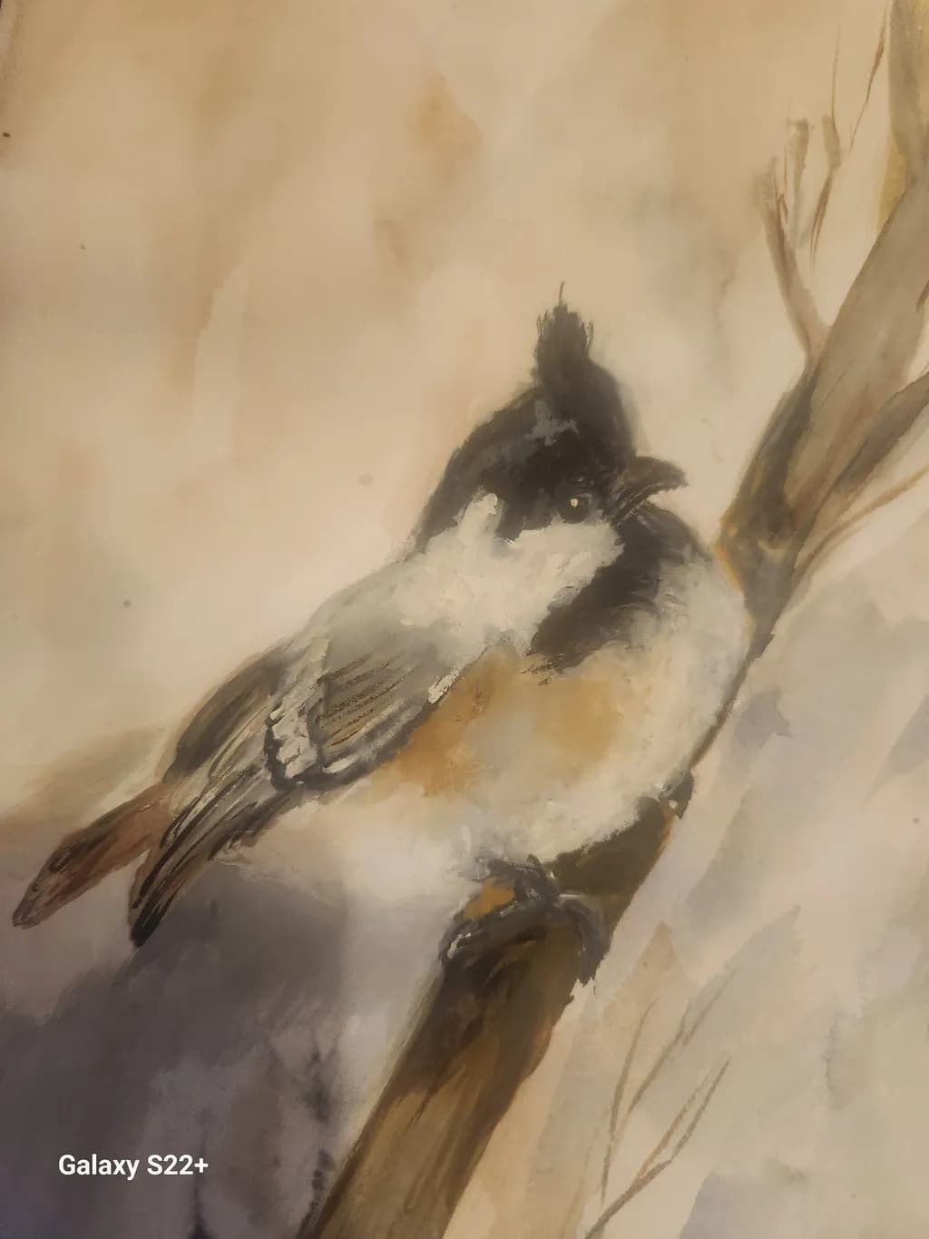 Perched Quietude