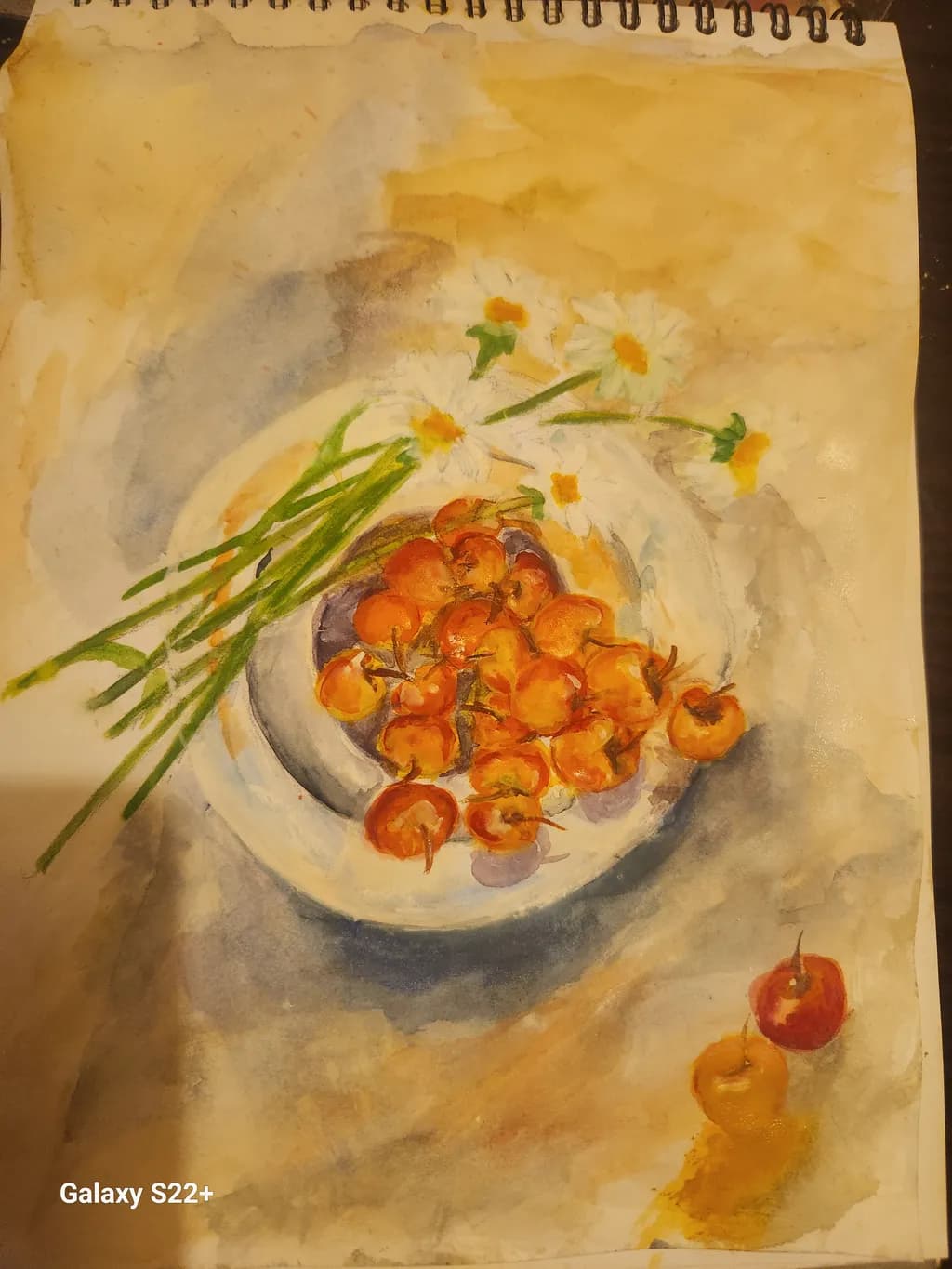 Daisies and Cherries