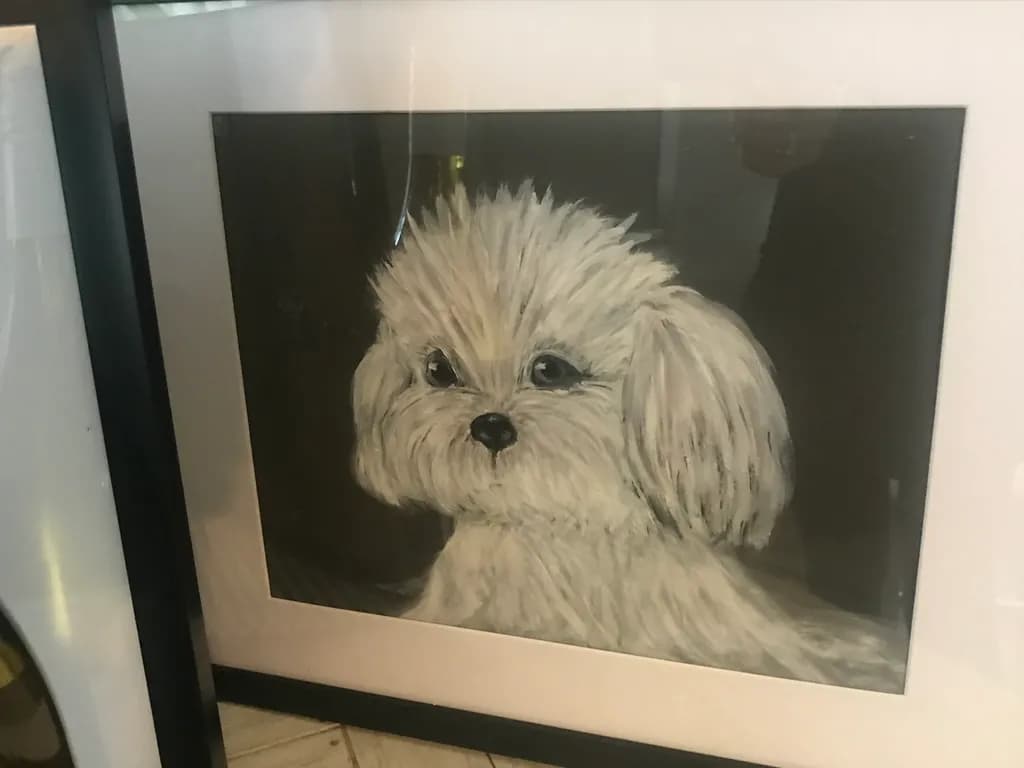 Fluffy Gaze