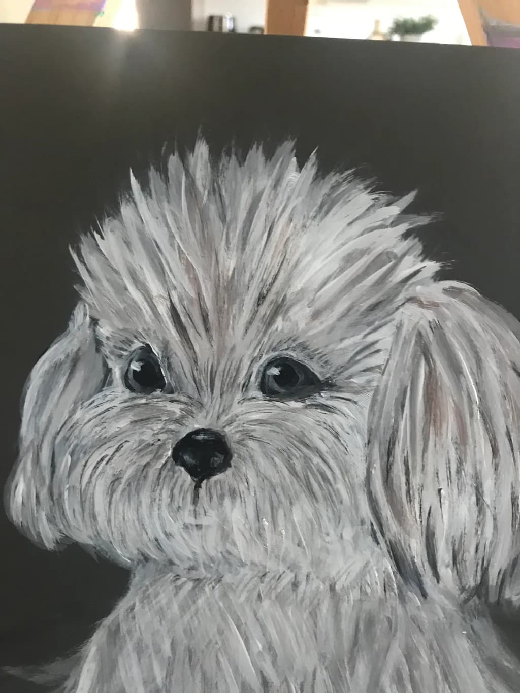 Fluffy Gaze