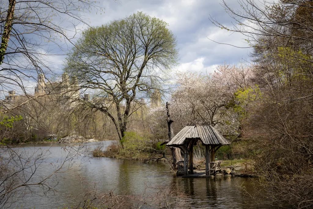 Rustic Lakeside Shelter