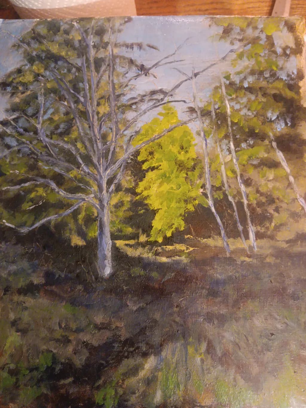 Quiet Grove