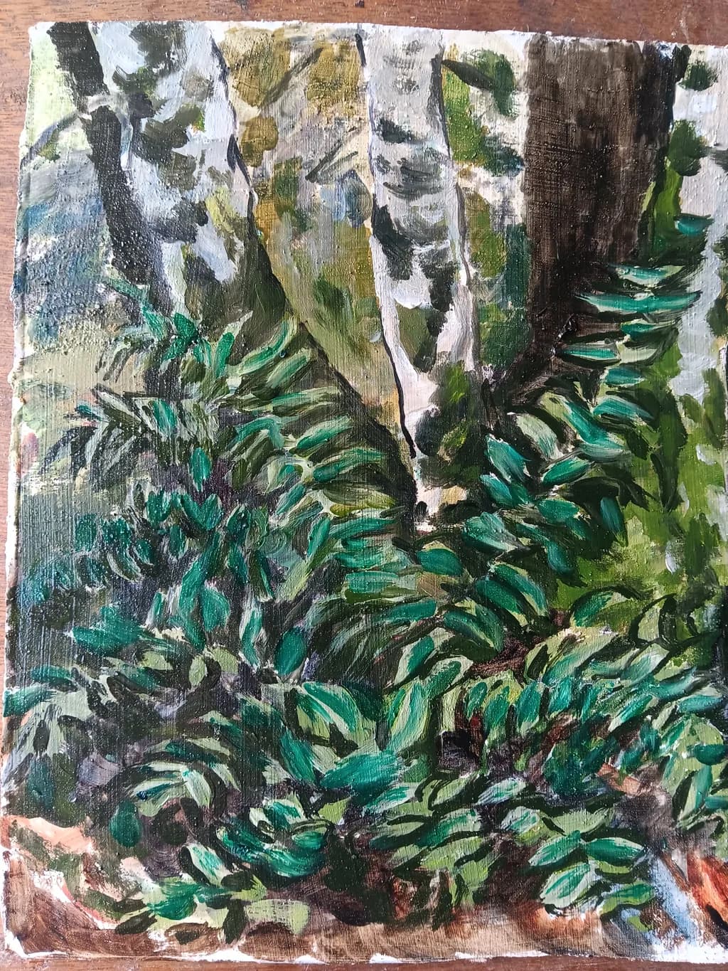 Birch Grove