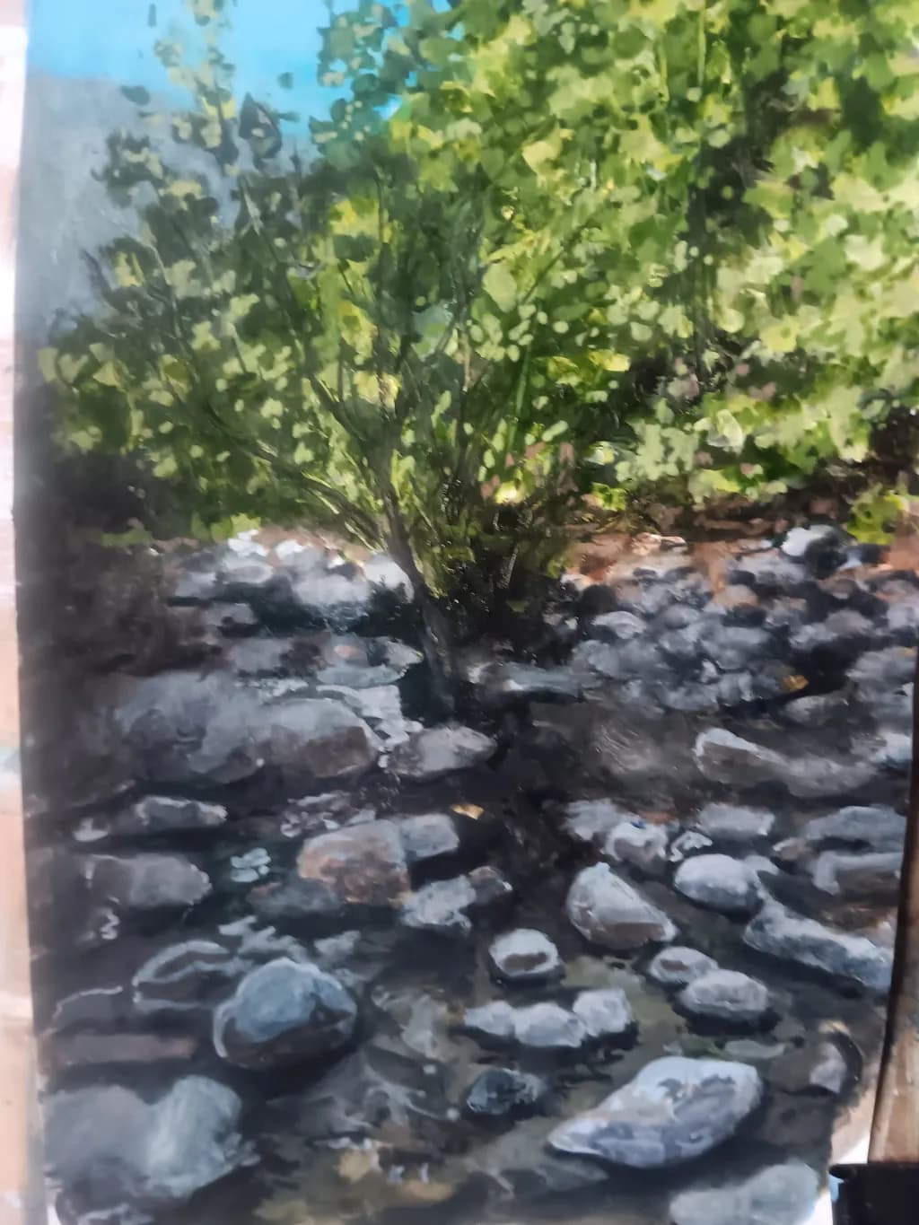 Rocks and Foliage