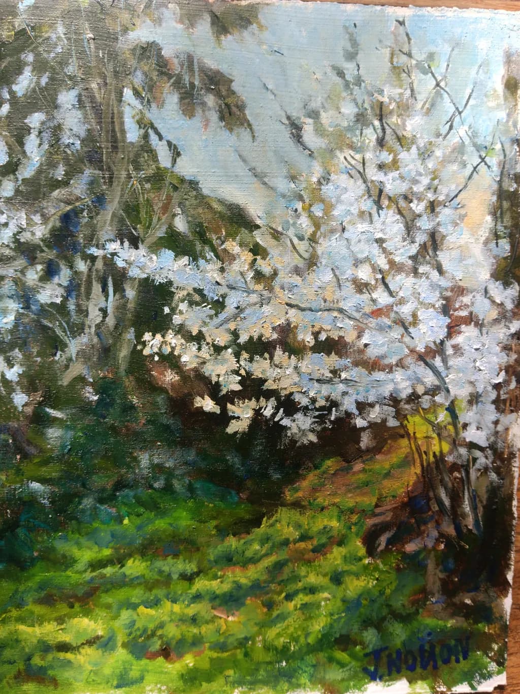 Spring Blossoms