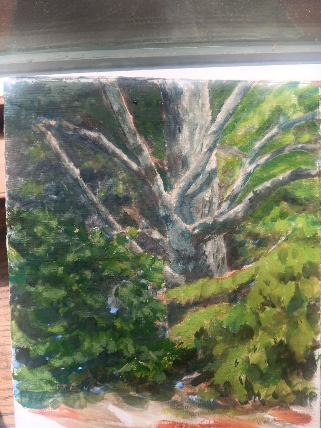 Ancient Branches