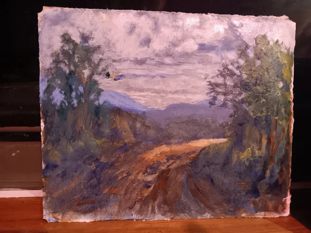 Dusky Mountain Path