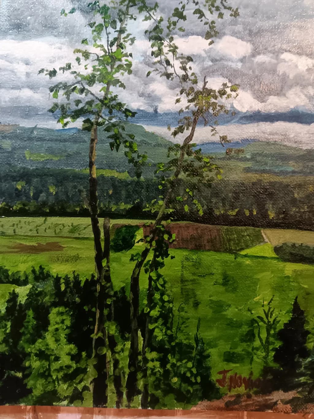 Rolling Hills Vista