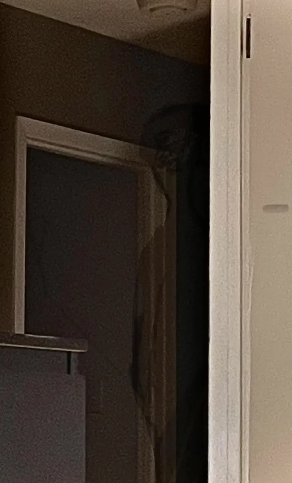 The Watcher