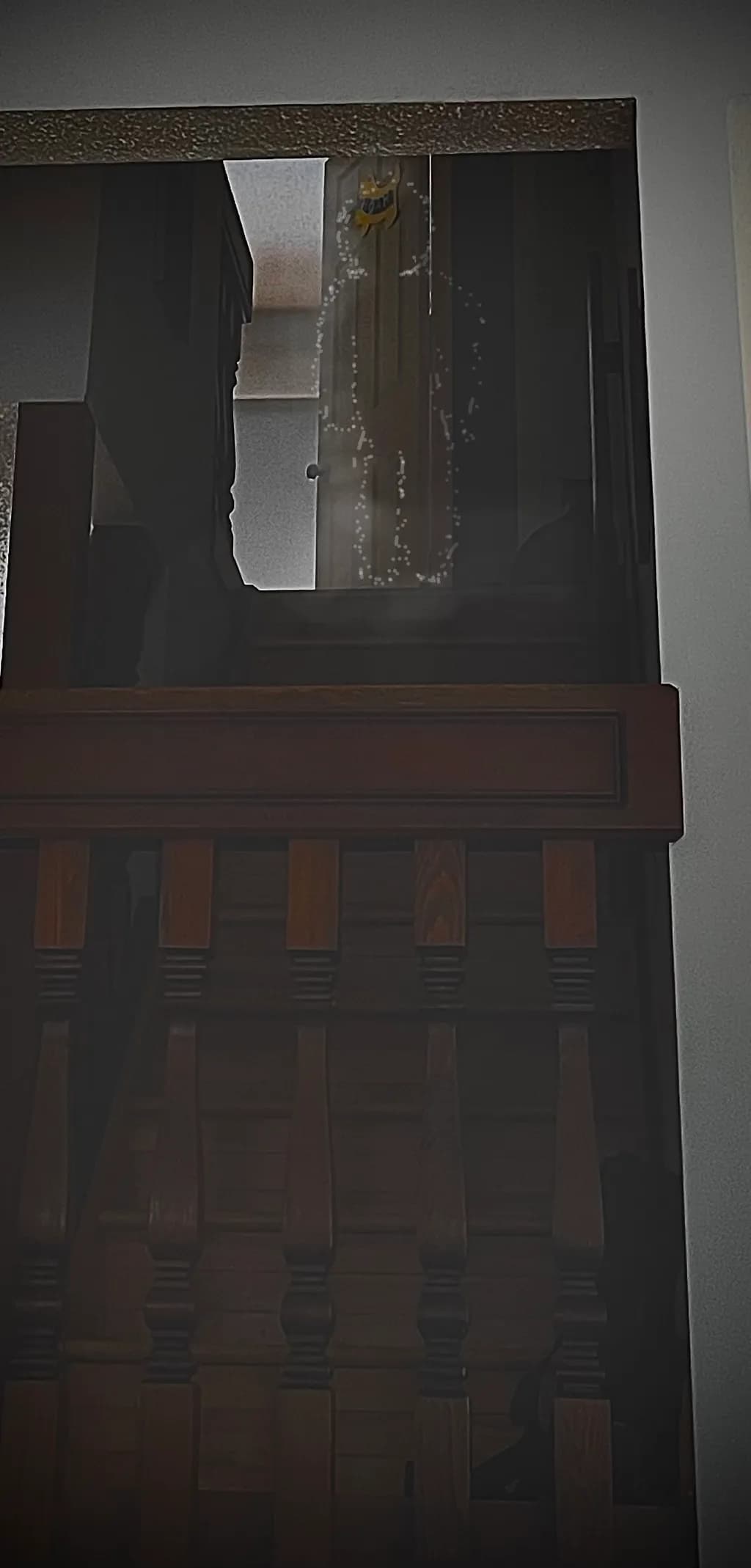 Reflected Silhouette