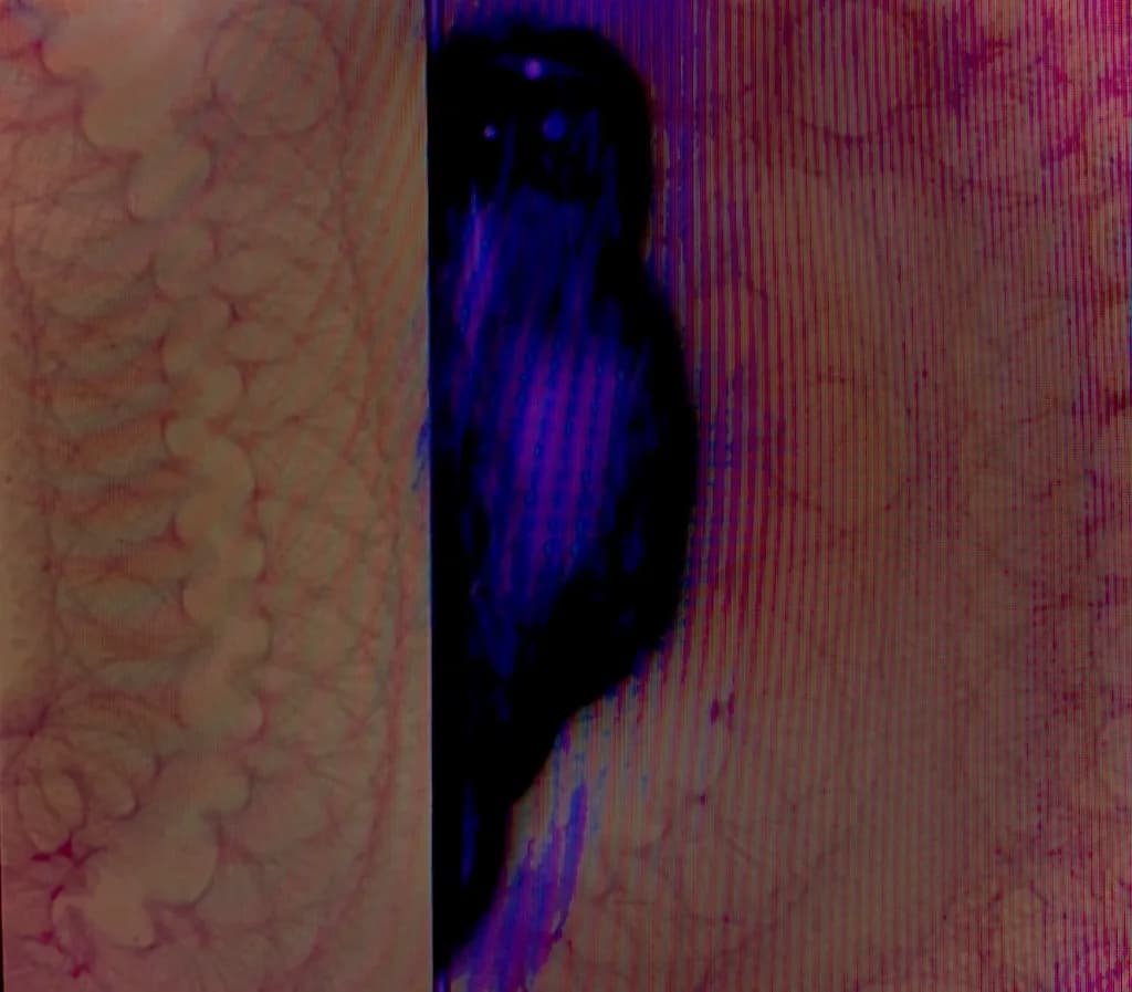 Veiled Contrast