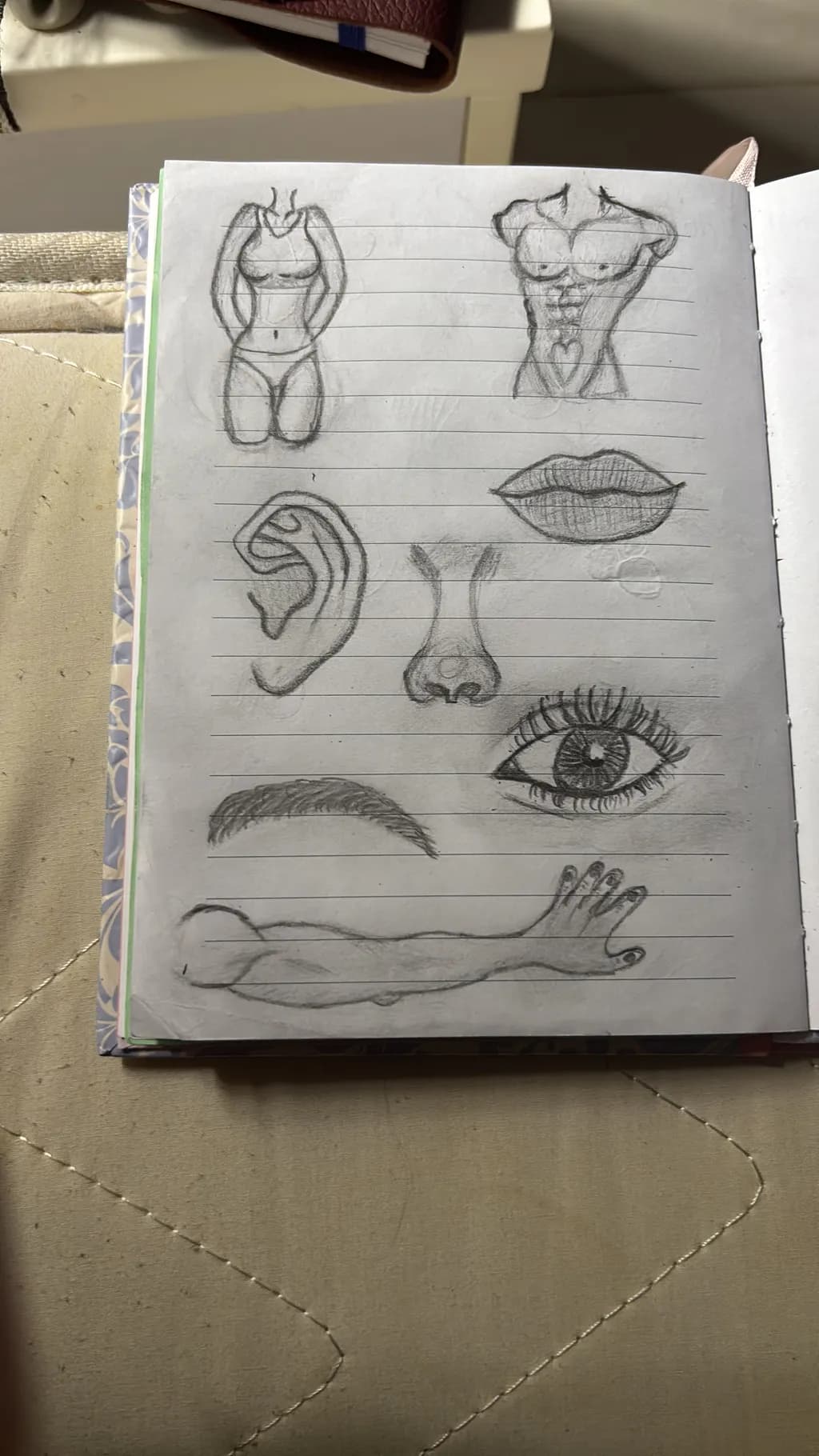 Anatomy Studies