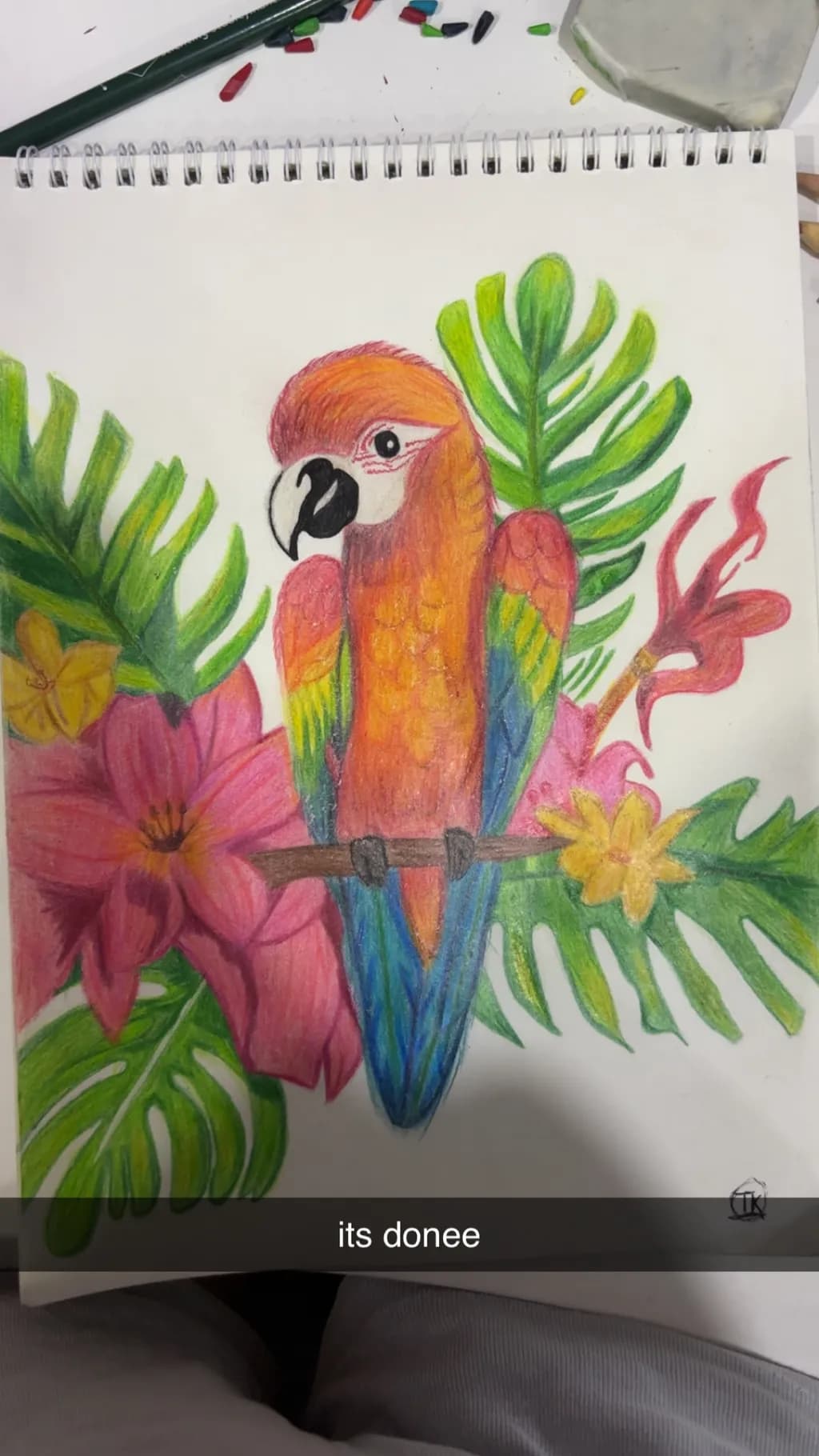 Tropical Parrot Perch
